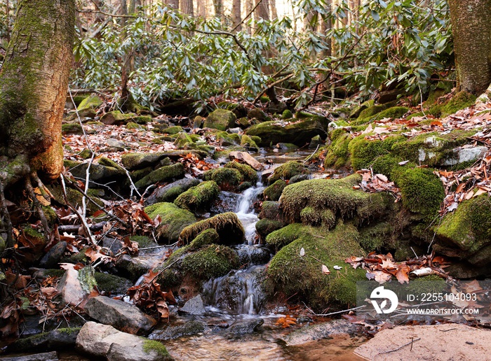 Shingletown Gap, State College