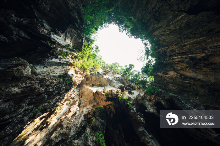 cave hole in the jungle