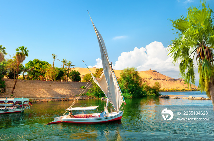 Tourism in Aswan