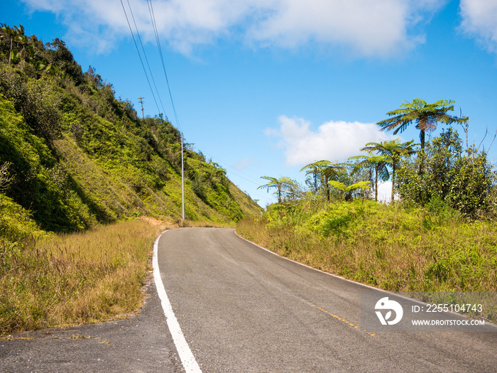 Ruta panoramica road in Puerto Rico. USA. this road is little used by tourists but allows to leave the tourist circuit and offers great views.