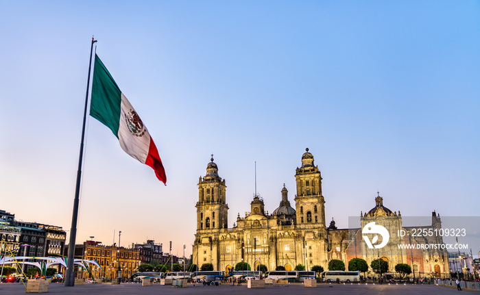 Flagpole and Mexico City Metropolitan Cathedral