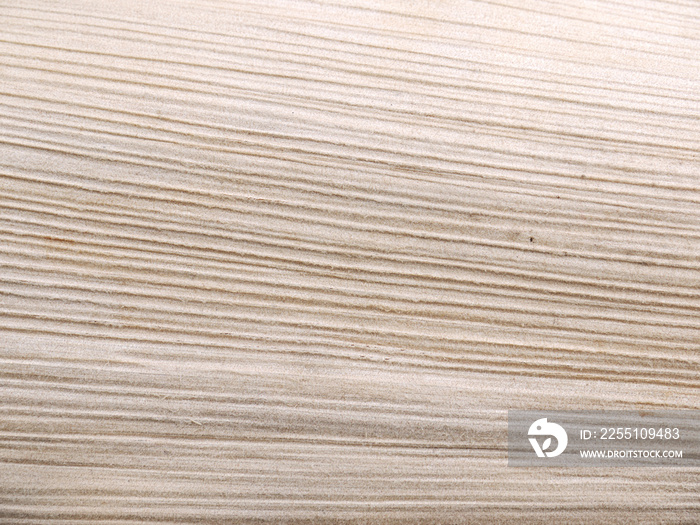 Dry palm leaf texture