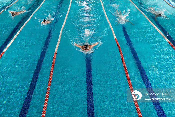 Five swimmers racing against each other in a swiming pool