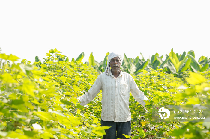 Indian farmer in cotton farm