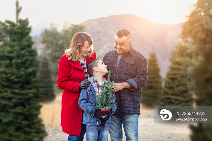 Mixed Race Family Outdoors At Christmas Tree Farm