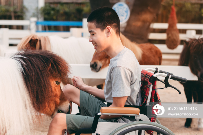 Teenager boy with a disability feeding pets with smile and happy face, Training of muscles through picking, Animals therapy for child with special needs. Rehabilitation and Health Day concept.