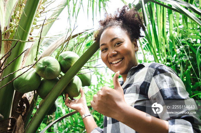 Charming farmer woman check quality of coconut in farm and showing natural fruit hanging on palm tree. Happy African girl on tropical vacation holidays.