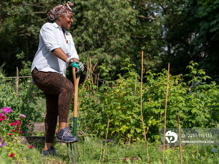 Mature woman gardening in allotment