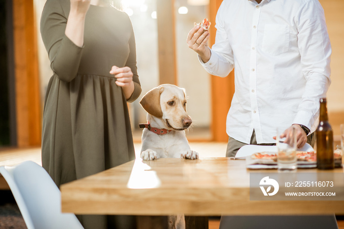 Cute dog dining with couple at the table near the house during the evening light outdoors