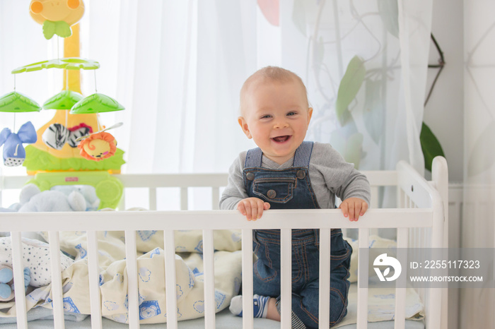 Smiling toddler boy, playing with little rabbit toy in crib