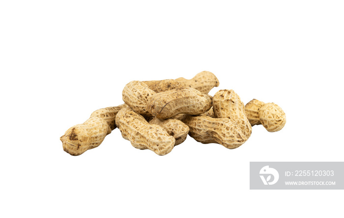 Group of peanut isolated for design element