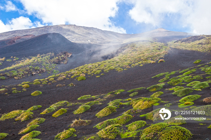 Etna volcano, Sicily, Italy