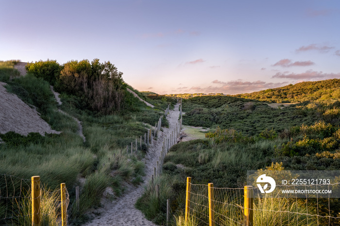 Dune at Le Touquet-Paris-Plage on a late summer afternoon, Pas-de-Calais, France