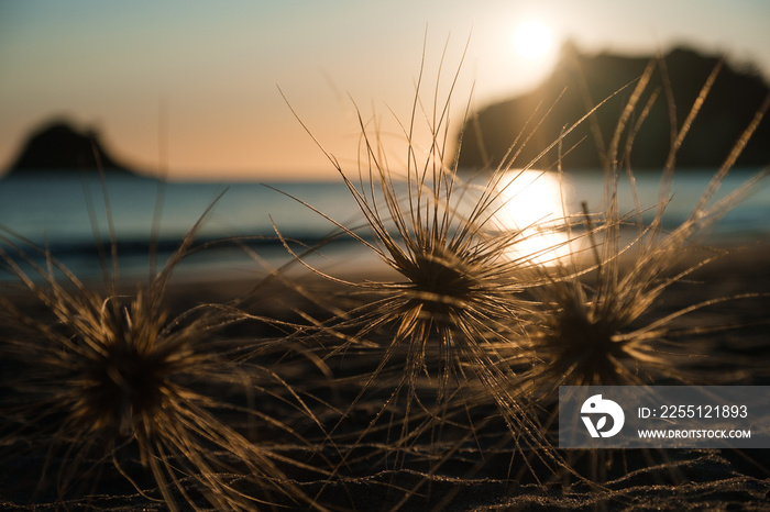 Sunset in Hahei, New Zealand