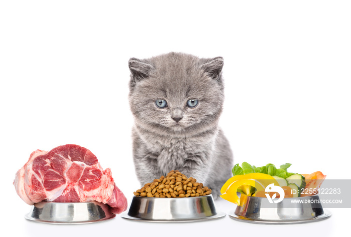 Cute kitten sits with varied food for pets. isolated on white background