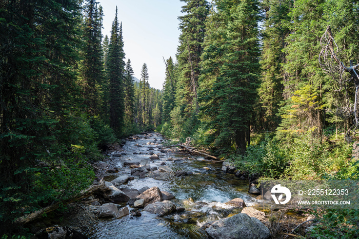 Lostine River at the Eagle Cap Wilderness of Wallowa-Whitman National Forest