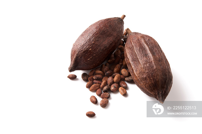 Cocoa pods and seeds on a white background