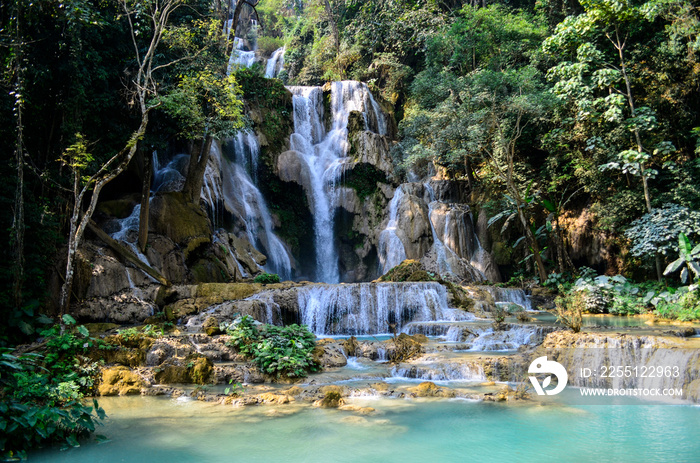 Waterfall in the jungle