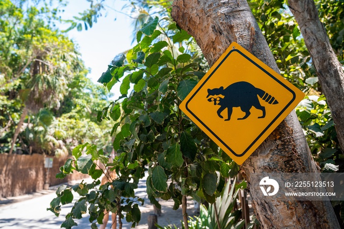 Black panda animal crossing warning traffic sign hanging on tree trunk at roadside