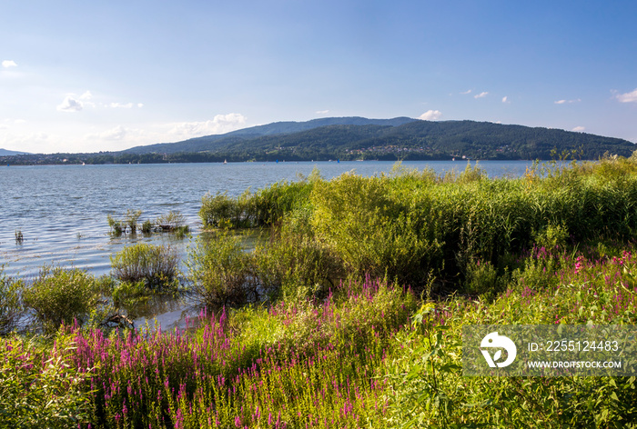 View of Lake Żywiec on a sunny afternoon