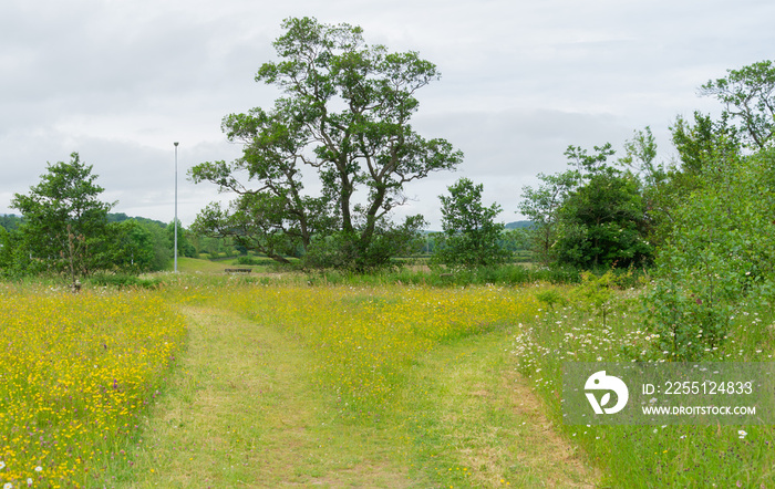 Paths mown into roadside verge at Haltwhistle, UK