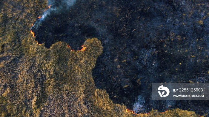 Aerial Drone View Over Burning Dry Grass and Smoke in Field. Flame and Open Fire. Top View Black Ash from Scorched Grass, Rising White Smoke and Yellow Dried Grass. Ecological Catastrophy, Environment