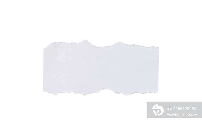 Empty torn white paper for mockup