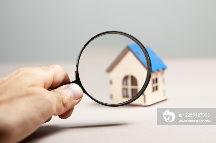 magnifier and house on a pink background.