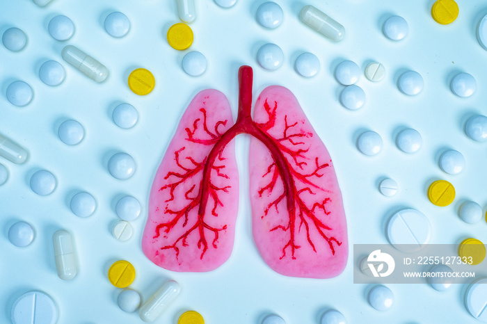 Human lungs and pills on a white background. Treatment of pneumonia. Disease treatment concept. Tuberculosis therapy.