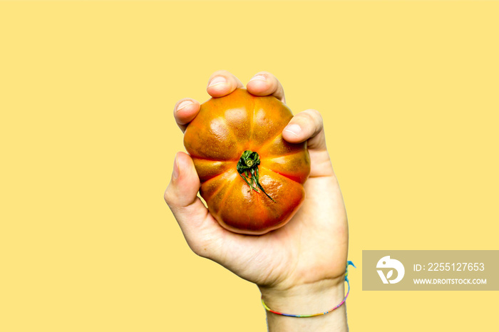 Concept of La Tomatina Festival in the Valencian town of Buñol in Spain. Hand holding a tomato in black and white with a yellow background. Concept of contemporary art collage and Zine Culture