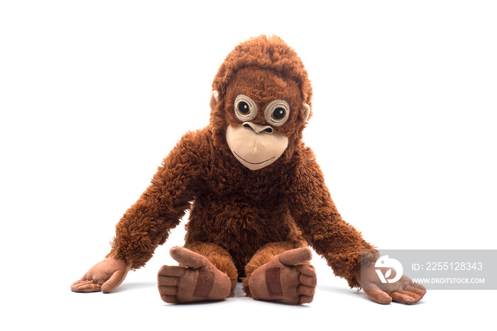 Closeup of plush monkey sitting on white background