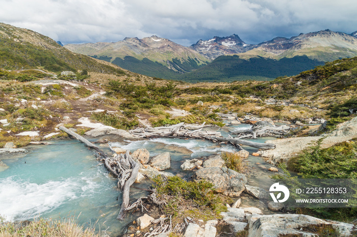 Nature in Tierra del Fuego, Argentina