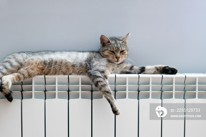 A White heating radiator on the wall.