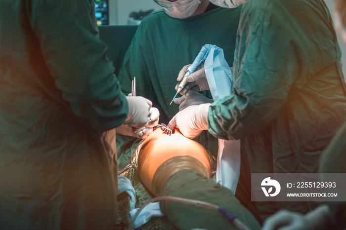 hip replacement surgery in progress, open cavity with scalpel and soft-tissue retractors. Orthopedic surgeons in teamwork in the operating room with modern arthroscopic tools. Hospital background