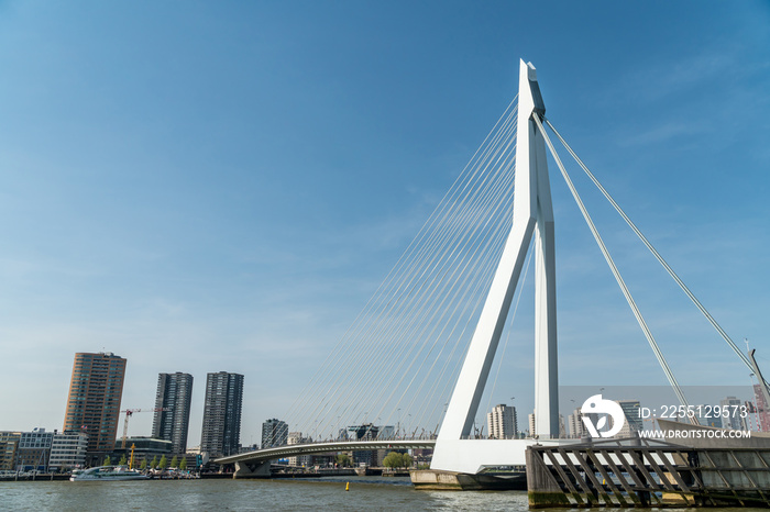 View of Erasmus bridge in Rotterdam