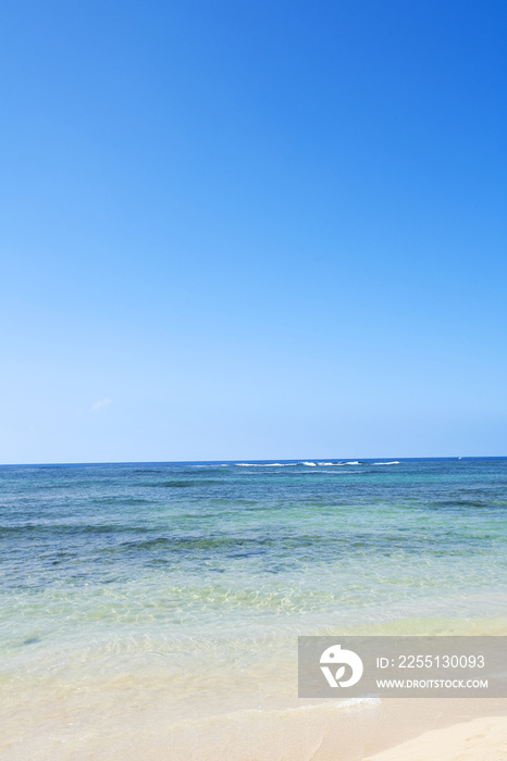 beach and sea