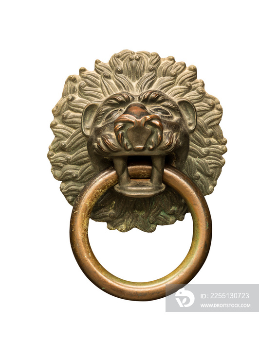 Lions head door knocker and ring