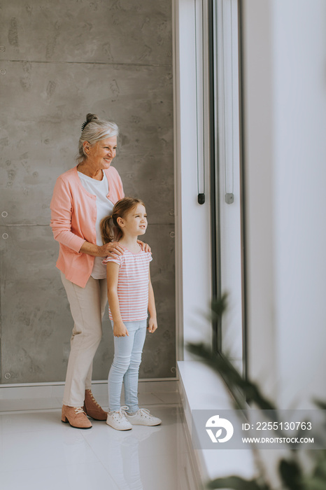 Little girl with her grandmother standing by the window