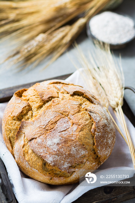 Freshly baked traditional wheat bread and wheat ears