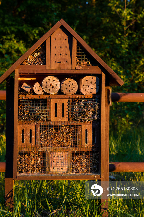 Insects bug house during golden hour (soft warm light sunlight). Wooden fence behind. Grassland with shelter for insects in Poleski National Park, Poland, Europe.