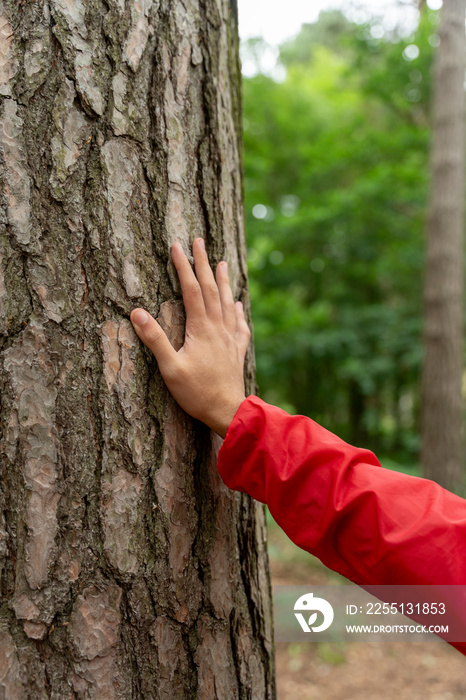 Close-up of man touching tree in forest