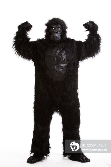 Young man in a gorilla costume flexing muscles against white background