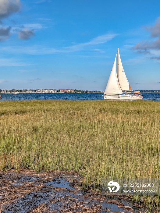 scenes at charleston south carolina waterfront park