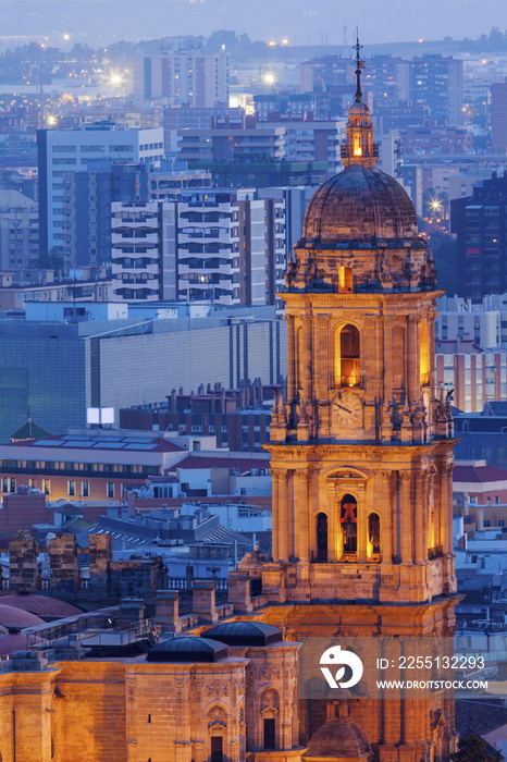 Malaga Cathedral at night