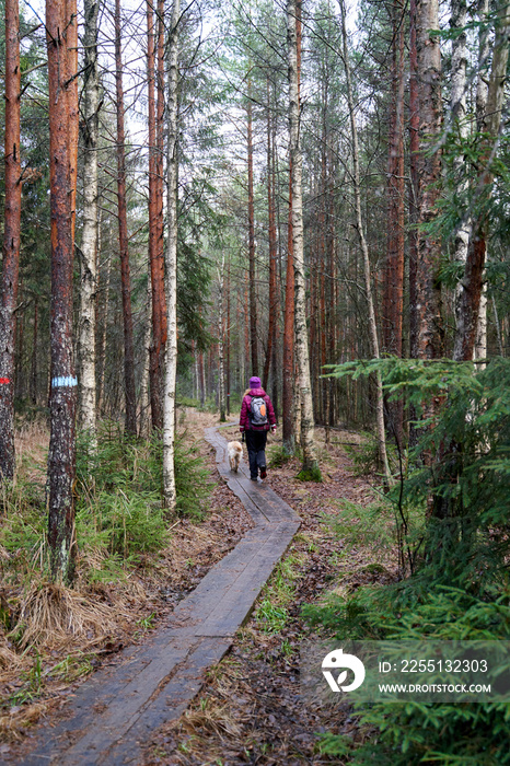 A woman is walking her dog in the forest