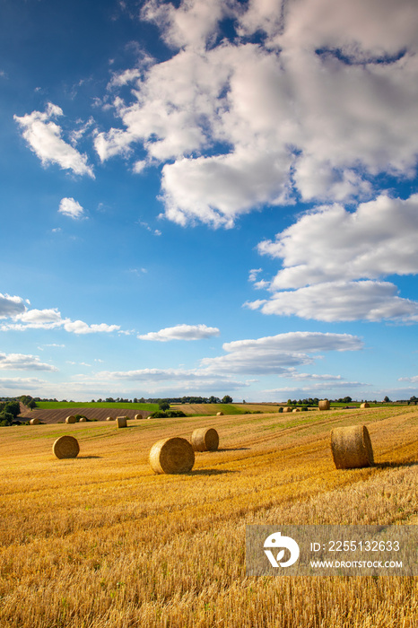 Paysage de campagne en été, meule de paille au milieu des champs en France.