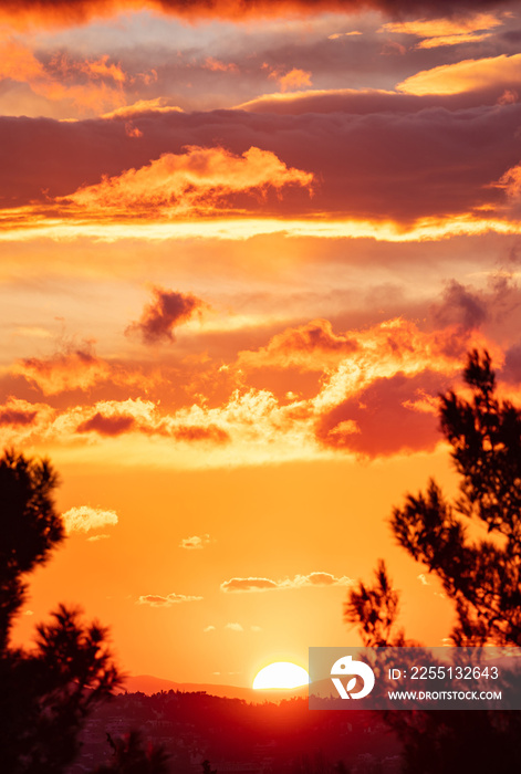 Sunrise, sunset through tree silhouette. Sunbeams paints with yellow and orange color the sky