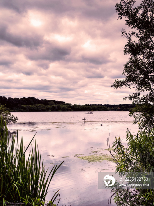 Dramatic pink purple clouds reflected in a lake