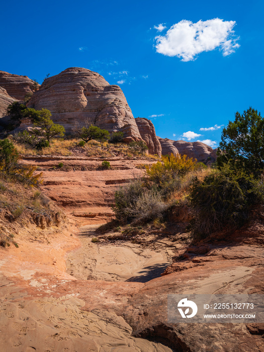 Red rock mountain and hills with eroded rock walls along the Church Rock Trails in Red Rock Park in Gallup, McKinley County, New Mexico, USA