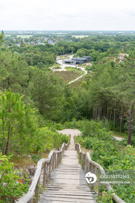 Dunes schoorl